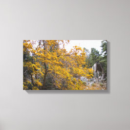 Impressão Em Tela Lindas Cores de Queda