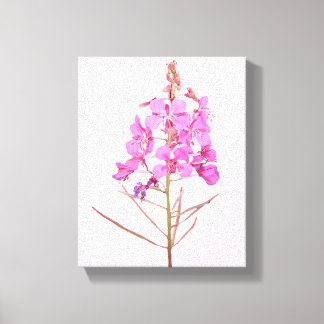Impressão Em Tela Lindas flores cor-de-rosa botânica floral simples