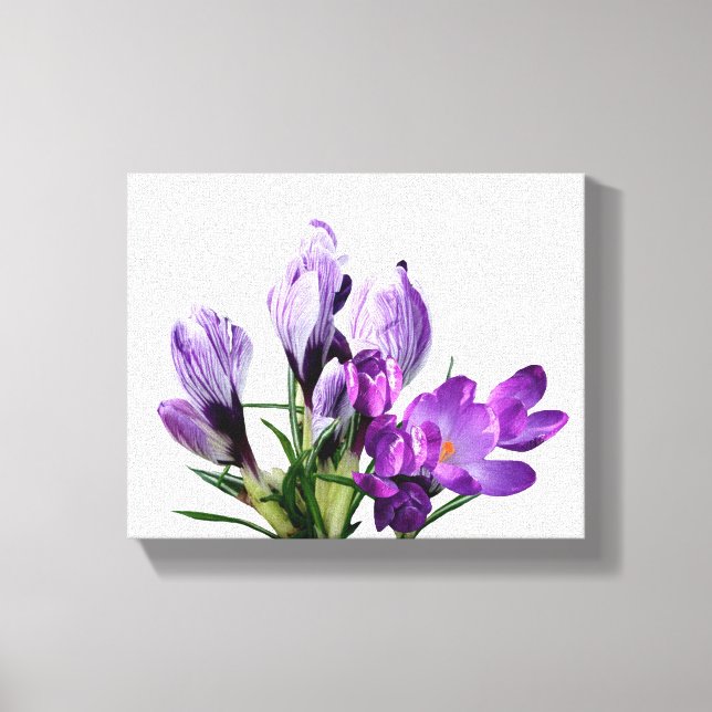 Impressão Em Tela Lindíssimo crocus floral roxo moderno digital  (Frente)