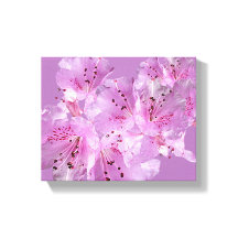 Lindo florescimento rosa floral lindo chique elega