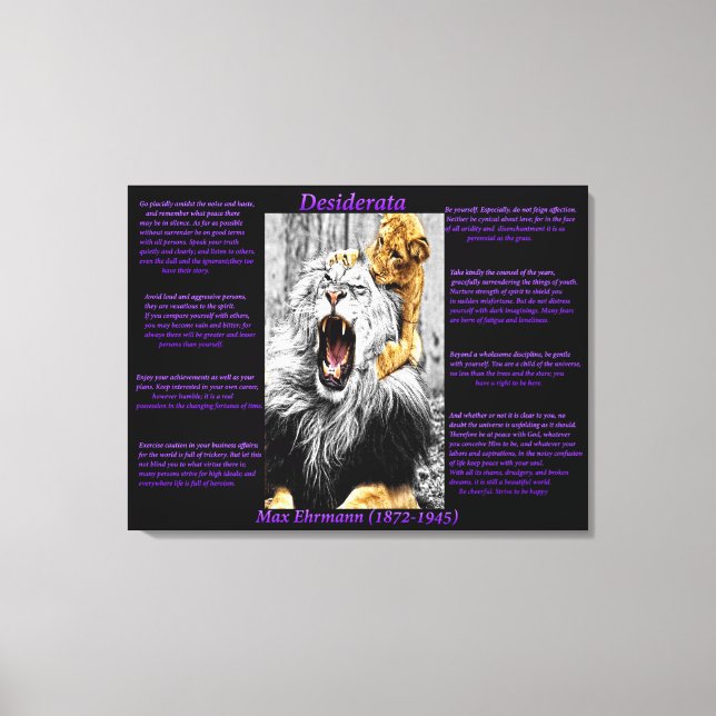 Impressão Em Tela Lion Cub (Frente)