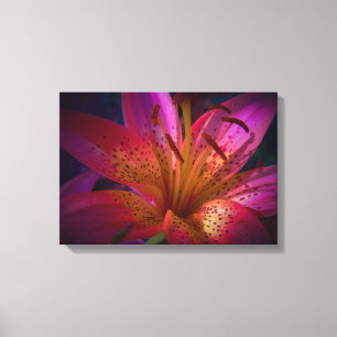 Impressão Em Tela Lírio cor-de-rosa bonito