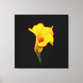 Impressão Em Tela Lírio-de-calla Amarelo