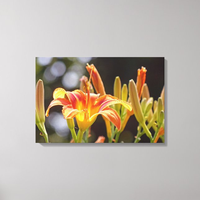 Impressão Em Tela Lírios ao Sol (Frente)