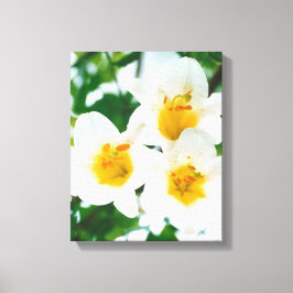 Impressão Em Tela Lírios brancos - Símbolo do amor