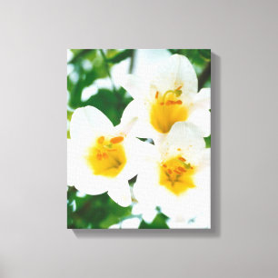 Impressão Em Tela Lírios brancos - Símbolo do amor