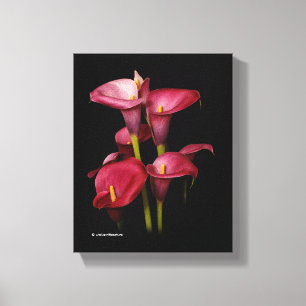 Impressão Em Tela Lírios de Calla Roxo Elegante