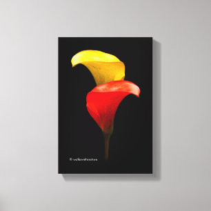 Impressão Em Tela Lírios elegantes do ouro e de Calla dos carmesins