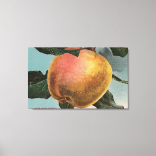 Impressão Em Tela Litografia de Chromo da fruta do inverno branco