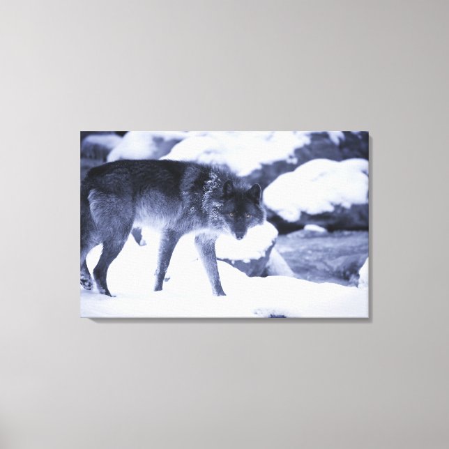 Impressão Em Tela Lobo 2 (Frente)