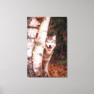 Impressão Em Tela Lobo Cinzento Atrás de uma Árvore