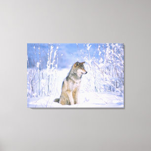 Impressão Em Tela Lobo Cinzento sentado na Neve, Canis lupus,