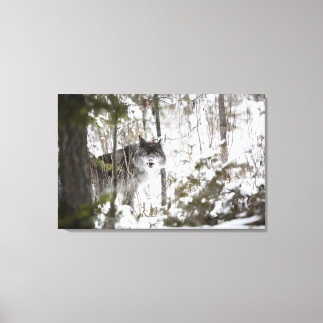 Impressão Em Tela Lobo Na Floresta No Inverno (Frente)