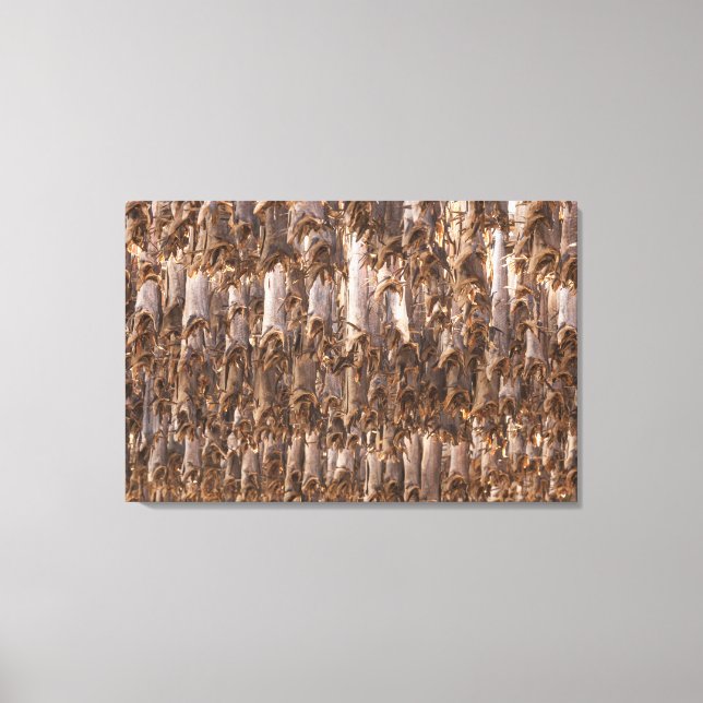 Impressão Em Tela Lofoten Stockfish (Frente)