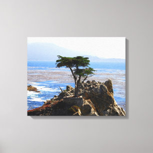Impressão Em Tela Lone Cypress, Monterey, Califórnia
