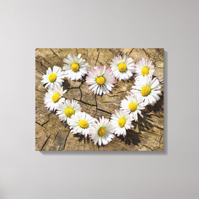Impressão Em Tela Love Heart Daisies (Frente)