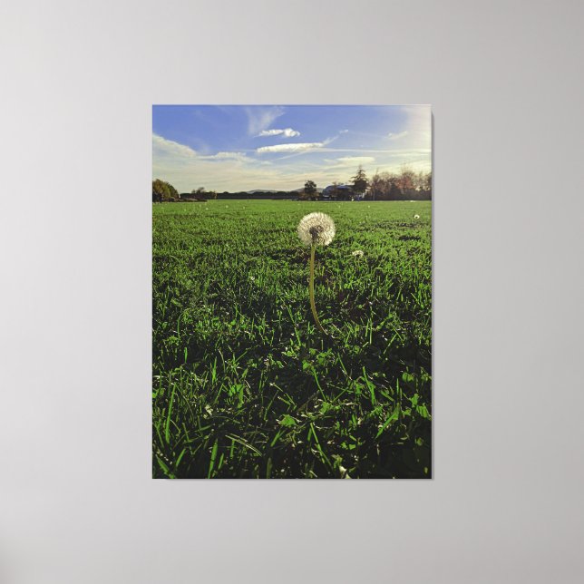 Impressão Em Tela Löwenzahn (Frente)