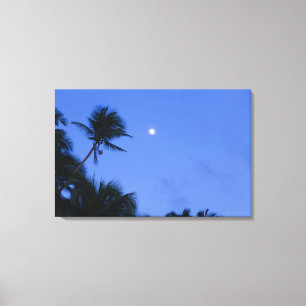 Impressão Em Tela Lua brilhantemente iluminada, silhueta de árvores