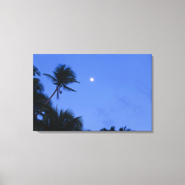 Impressão Em Tela Lua iluminada, silhueta de coqueiros (Frente)