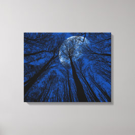 Impressão Em Tela Lua no Céu Noturno