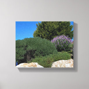 Impressão Em Tela Lupine Rocks!