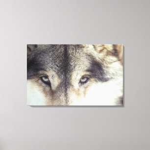 Impressão Em Tela Lúpus de Canis