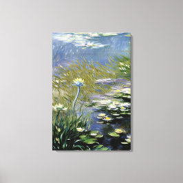 Impressão Em Tela Lush Agapanthus Flowers em Giverny