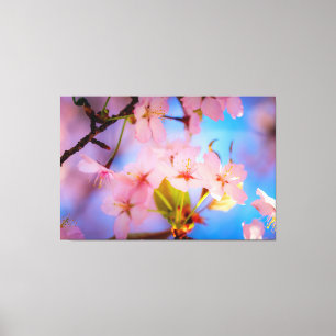 Impressão Em Tela Luz Sobre Sakura