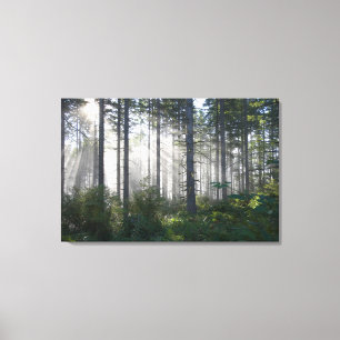 Impressão Em Tela Luz solar que quebra através de uma floresta