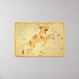 Impressão Em Tela Lynx - Imagem do Gráfico Astronômico de Estrelas V