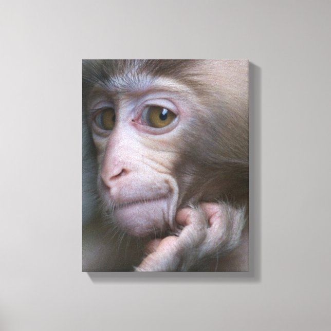 Impressão Em Tela Macaco-Bebê (Frente)