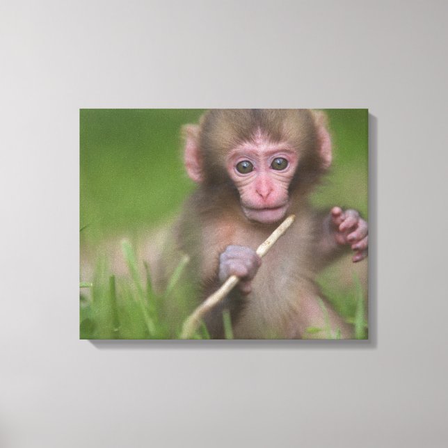 Impressão Em Tela Macaco-Bebê (Frente)