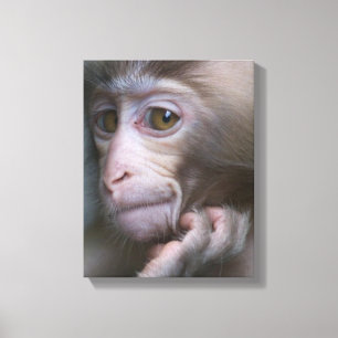 Impressão Em Tela Macaco do bebê