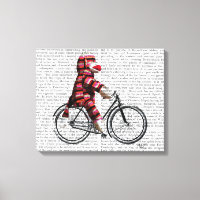 Macaco-meia na Bicicleta