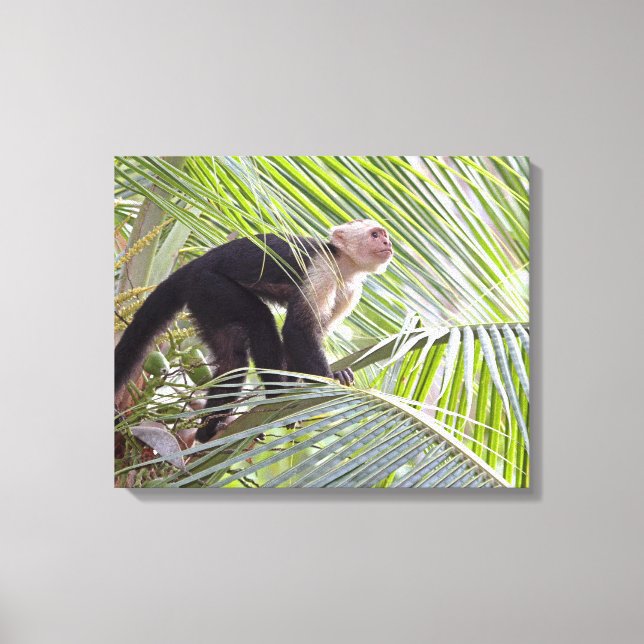 Impressão Em Tela Macaco na selva de Bamboo (Frente)
