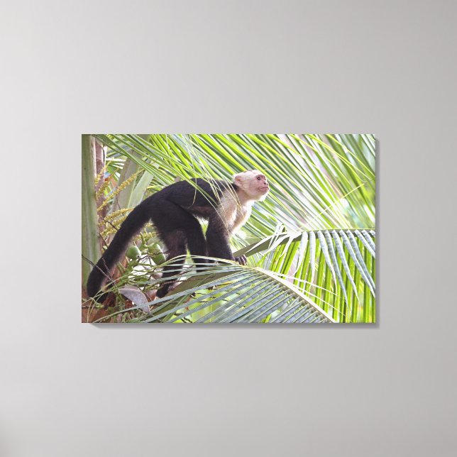 Impressão Em Tela Macaco na selva de Bamboo (Frente)
