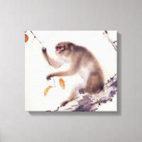 Macaco numa Árvore Persimmon