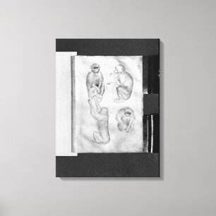 Impressão Em Tela Macacos, do álbum de Vallardi
