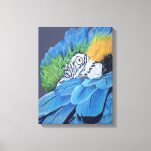 Impressão Em Tela Macaw azul e Dourado