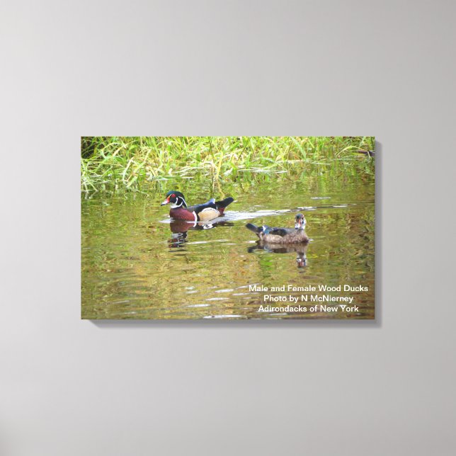 Impressão Em Tela Macho e fêmea - Patos de madeira (Frente)