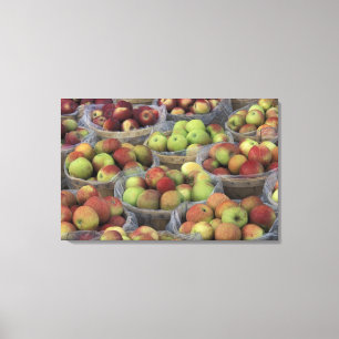 Impressão Em Tela Macintosh do Estado de Nova Iorque em cestos