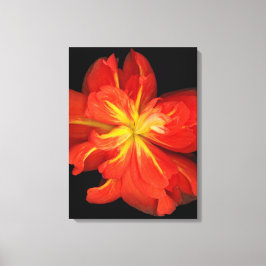 Impressão Em Tela Macro de Begonia Laranja Vibrante