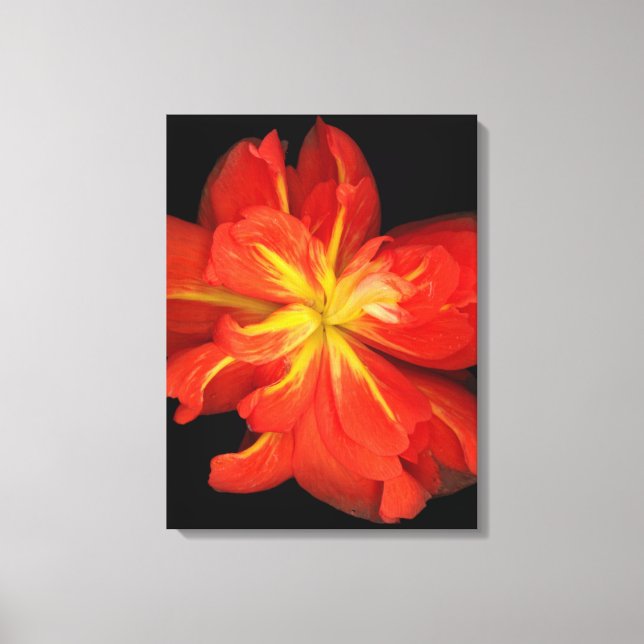Impressão Em Tela Macro de Begonia Laranja Vibrante (Frente)
