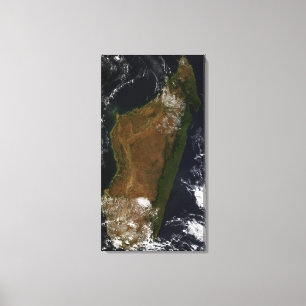 Impressão Em Tela Madagascar