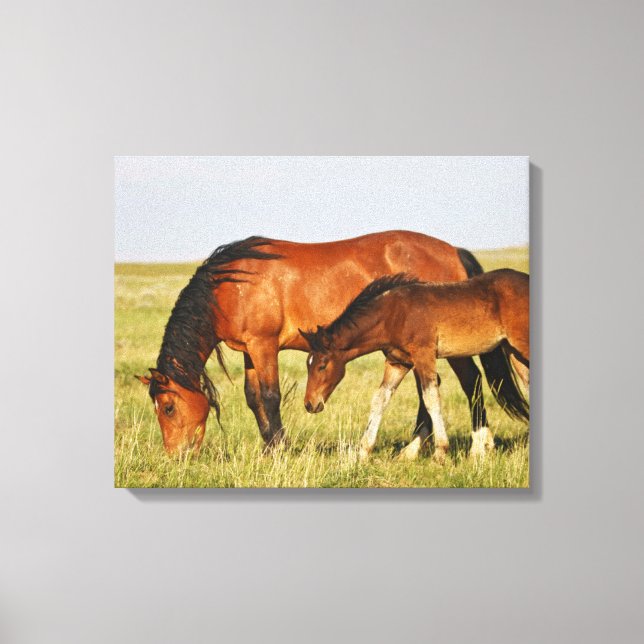 Impressão Em Tela Mãe de Cavalo Selvagem e Potro Pastando (Frente)