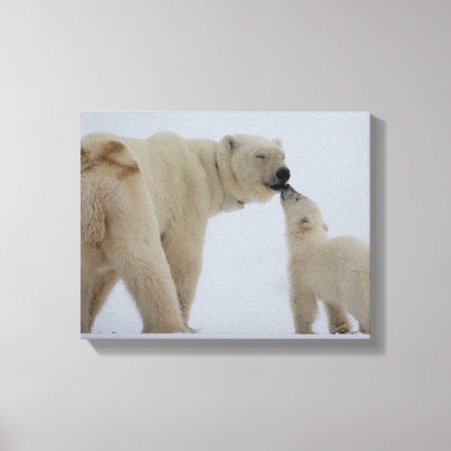 Impressão Em Tela Mãe de Urso Polar com Cubo (Frente)