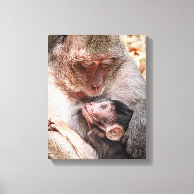 Impressão Em Tela Mãe e Bebê Macaco (Frente)