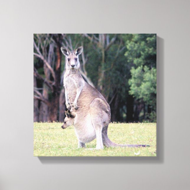 Impressão Em Tela Mãe Kangaroo com Bebê Joey em sua bolsa (Frente)