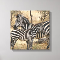 Mães e Bebê Zebra Tela Impressão