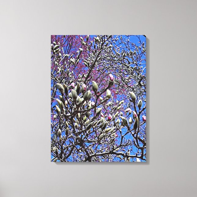 Impressão Em Tela Magnólia, Massa de Botões (Frente)